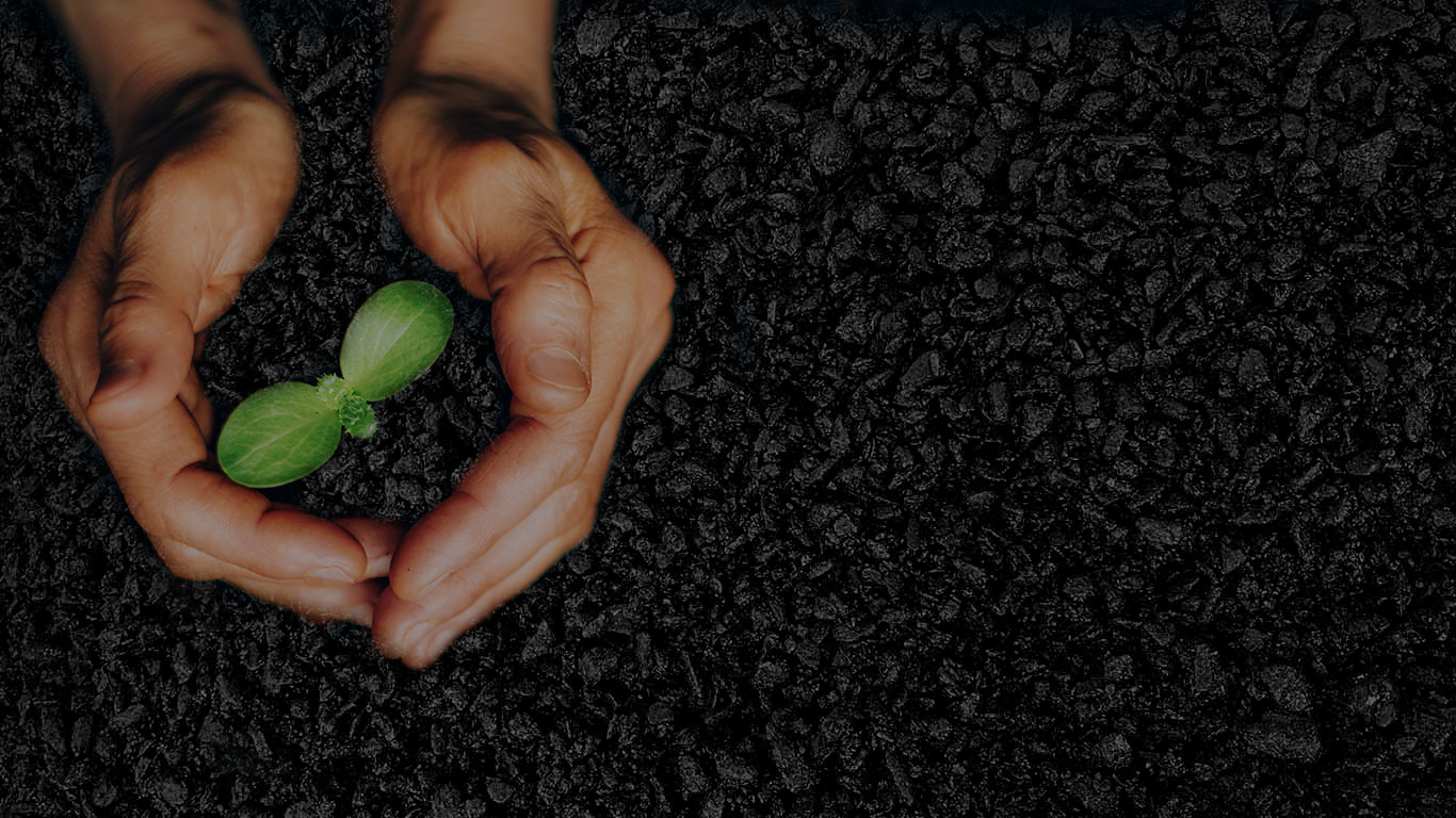 carreteras-ecologicas-2